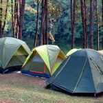 What’s the best type of tent for my needs?