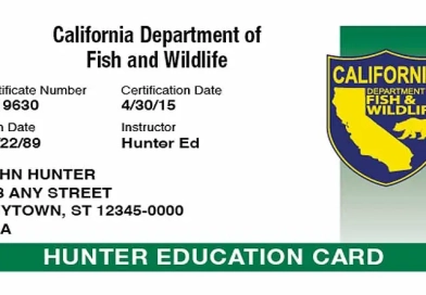 california_card