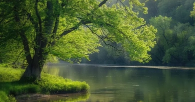 vecteezy_a-tranquil-riverbank-lined-with-budding-trees-and-vibrant_43033688