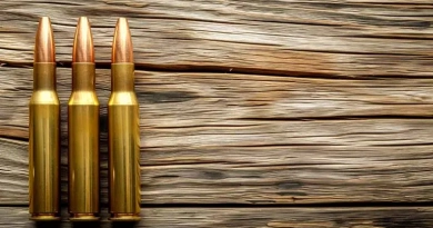 vecteezy_ai-generated-a-rifle-and-a-carbine-ammo-close-up_38482560