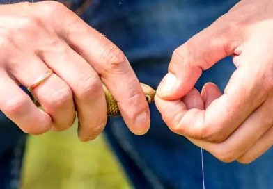 vecteezy_crucian-in-hands_9997040