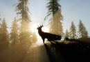 What Are The Best Tips For Elk Hunting? vecteezy_deer-male-in-forest-at-sunset_5661402