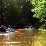 vecteezy_family-kayak-trip-man-and-woman-and-elderly-couple-senior_8005534