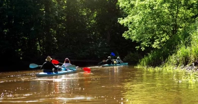 vecteezy_family-kayak-trip-man-and-woman-and-elderly-couple-senior_8005534