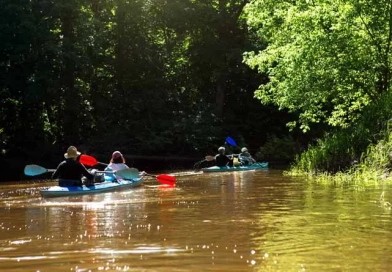 How To Plan A Multi-Day Kayaking Trip vecteezy_family-kayak-trip-man-and-woman-and-elderly-couple-senior_8005534