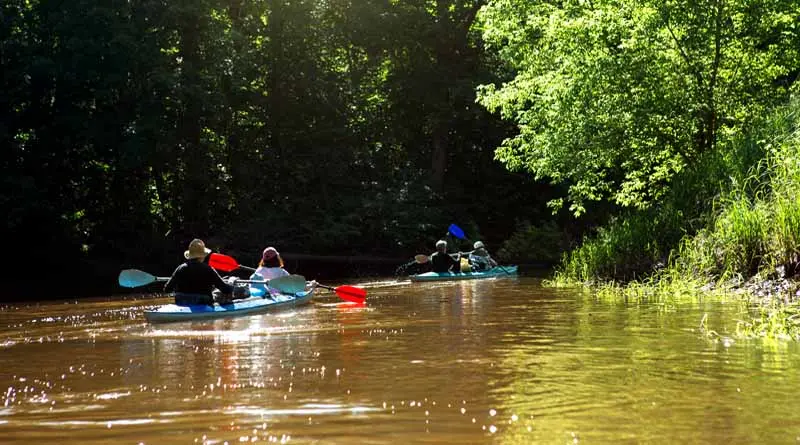 vecteezy_family-kayak-trip-man-and-woman-and-elderly-couple-senior_8005534