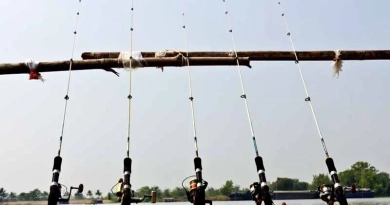 vecteezy_fishing-poles-on-pier_12899466