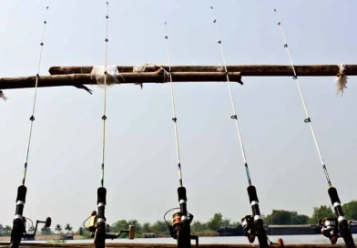 vecteezy_fishing-poles-on-pier_12899466