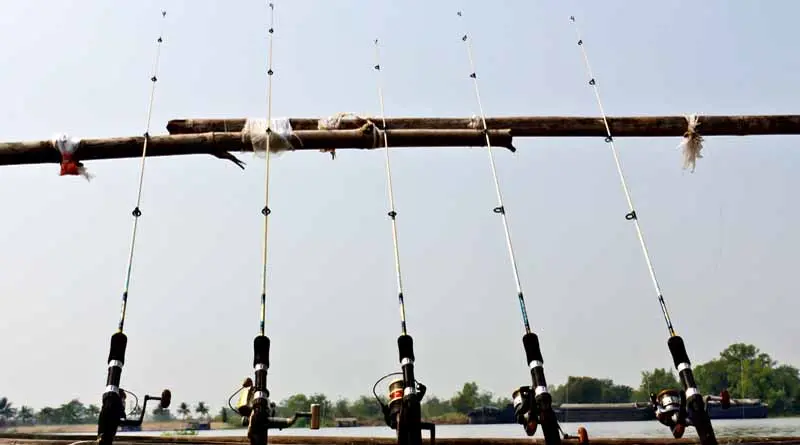 vecteezy_fishing-poles-on-pier_12899466