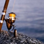 vecteezy_fishing-reels-and-rods-reels-and-rods_22841720