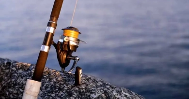 vecteezy_fishing-reels-and-rods-reels-and-rods_22841720