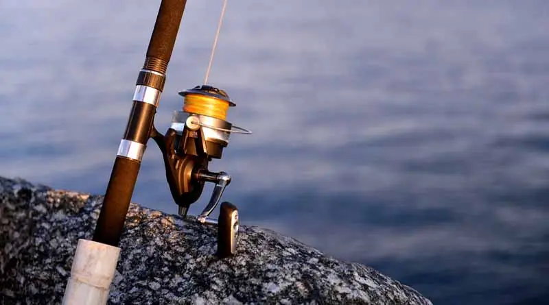 vecteezy_fishing-reels-and-rods-reels-and-rods_22841720