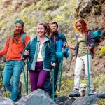vecteezy_group-of-friends-with-backpacks-doing-trekking-excursion-on_39902959