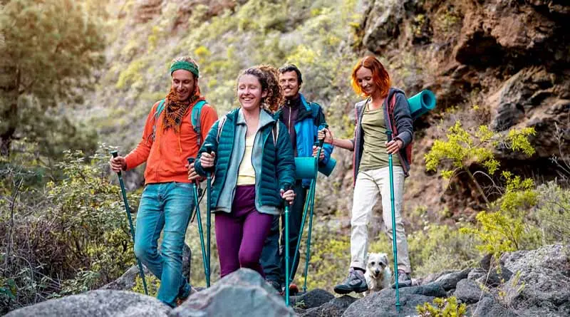 vecteezy_group-of-friends-with-backpacks-doing-trekking-excursion-on_39902959