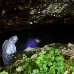 vecteezy_group-of-tourists-go-to-cave-clip-tourists-enter-cave-in_42279048