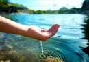 vecteezy_hand-holding-water-in-pond_8242891