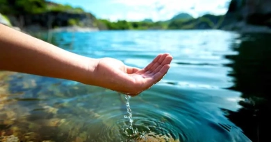 vecteezy_hand-holding-water-in-pond_8242891