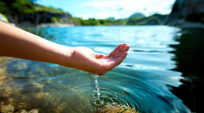 vecteezy_hand-holding-water-in-pond_8242891