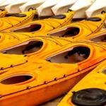 vecteezy_kayaks-lined-up_24871033