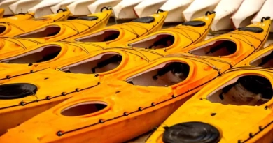 vecteezy_kayaks-lined-up_24871033