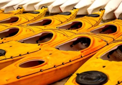 vecteezy_kayaks-lined-up_24871033