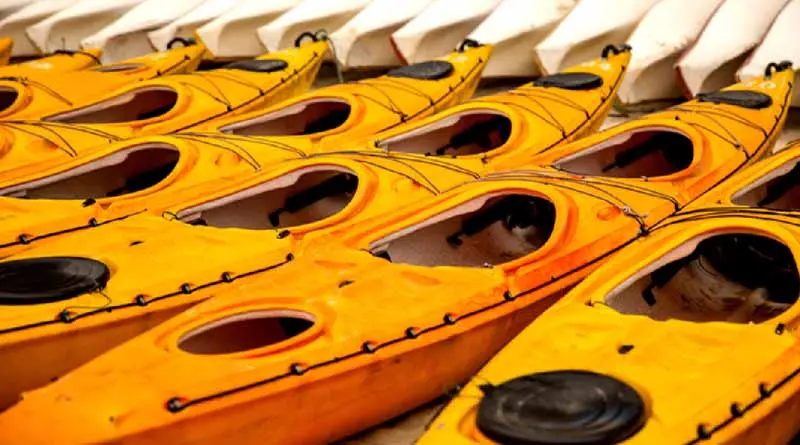 vecteezy_kayaks-lined-up_24871033