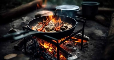 vecteezy_outdoor-cooking-at-campfire-food-on-fire-backyard-grill_23344079