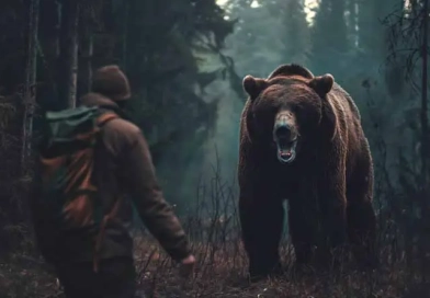 What Should I Do If I Encounter Dangerous Animals In The Wild? vecteezy_person-backing-away-from-a-growling-bear-in-a-dark-forest-at_46100553