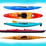 vecteezy_sea-and-whitewater-kayaks-collection_45385310