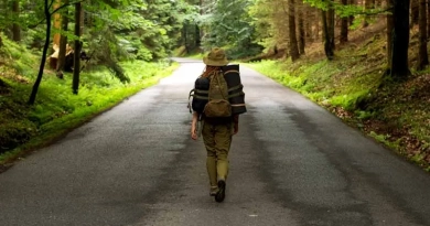 vecteezy_young-woman-hiker-walking-on-narrow-road-through-summer_7665864