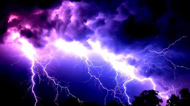 vecteezy_ai-generated-bright-blue-sky-dark-silhouette-tree-vibrant_35120575