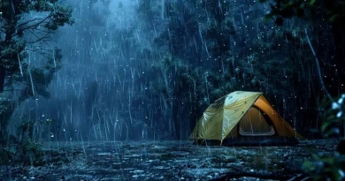 vecteezy-tent-in-the-tropical-forest-with-rain-at-night_40168379