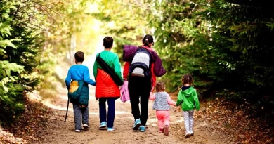 vecteezy_back-of-mother-with-four-kids-walking-on-wood-mountains_5850669