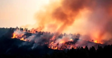 Denali National Park Fire