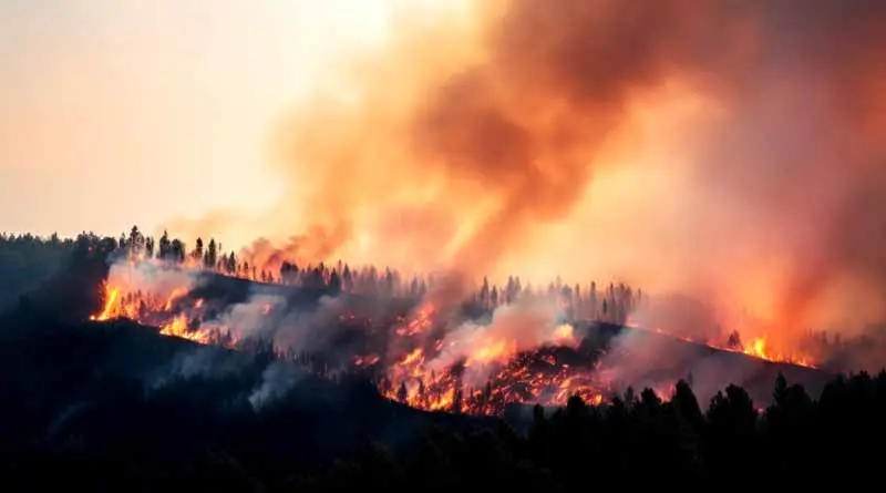 Denali National Park Fire