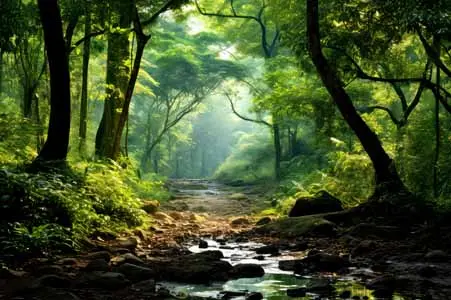 vecteezy_forest-nicaraguan-rainforest-rainforests-ai-generated_32458366