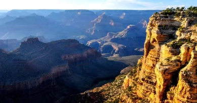 vecteezy_grand-canyon-national-park-from-the-air_16172551