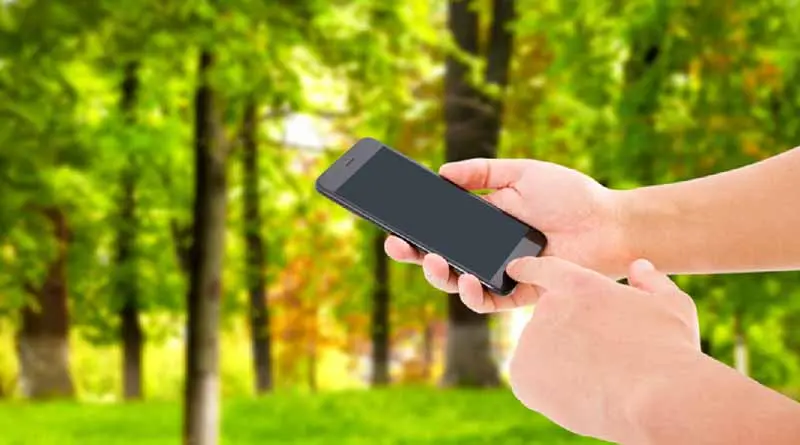 vecteezy_hand-hold-phone-and-touch-screen-on-blurred-park-background_3737348