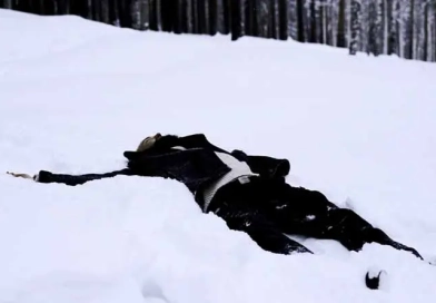 vecteezy_man-lies-in-white-snow-in-winter-media-man-lies-and-rests_42279127