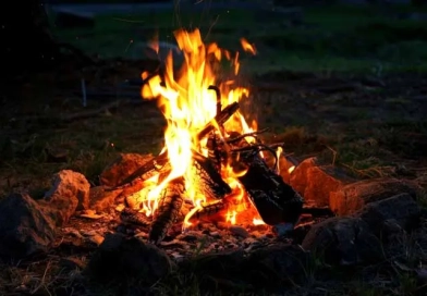 vecteezy_the-crackle-of-the-fire-mixes-with-the-sound-of-crickets-in_44648841