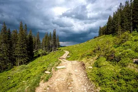 B vecteezy_footpath-with-stones-between-dense-trees-and-bushes-against-sky_6014083